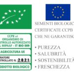 Semillas De Lechuga Trocadero