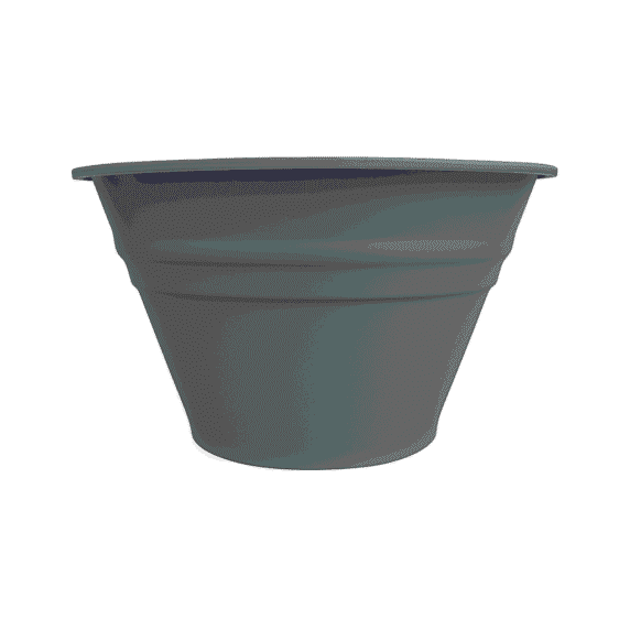 Gris