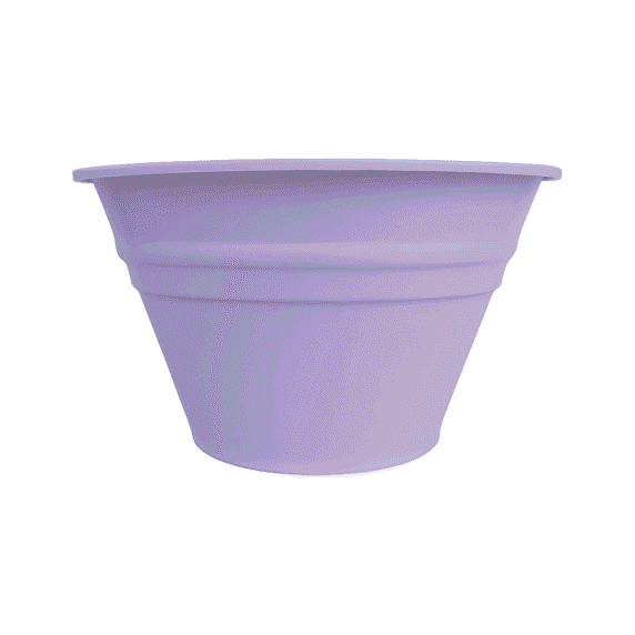 Lavanda