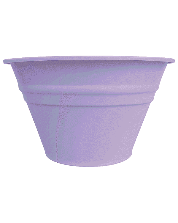 Lavanda
