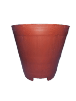 Terracota