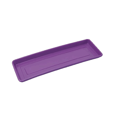 Morado